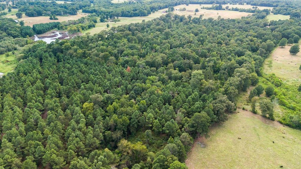 E O'conner Surv Abs #384 - Land