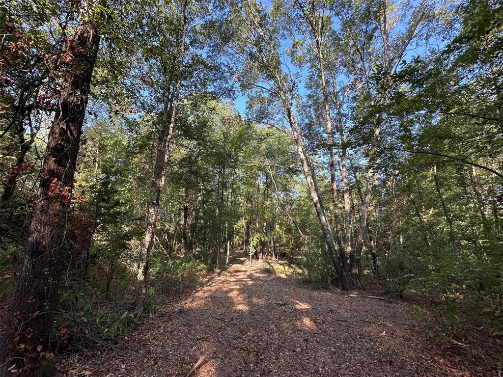 E O'conner Surv Abs #384 - Land