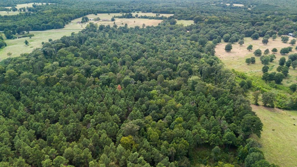 E O'conner Surv Abs #384 - Land