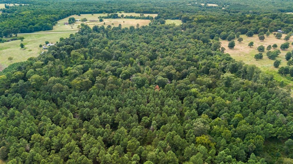 E O'conner Surv Abs #384 - Land