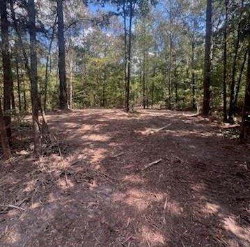 E O'conner Surv Abs #384 - Land