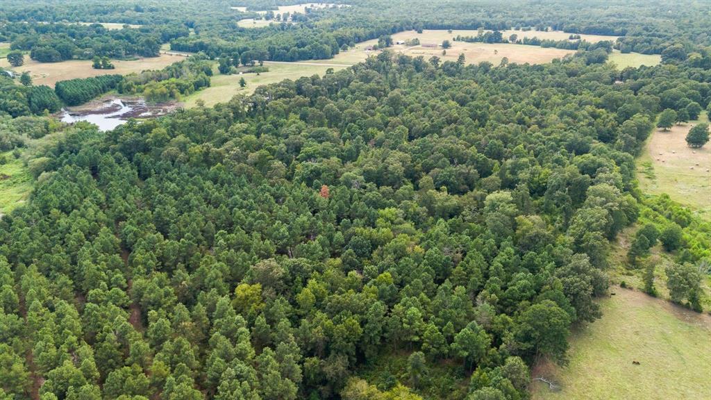 E O'conner Surv Abs #384 - Land