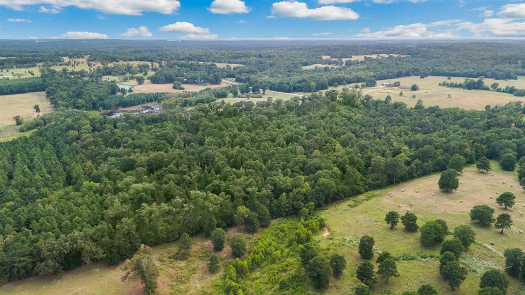 E O'conner Surv Abs #384 - Land