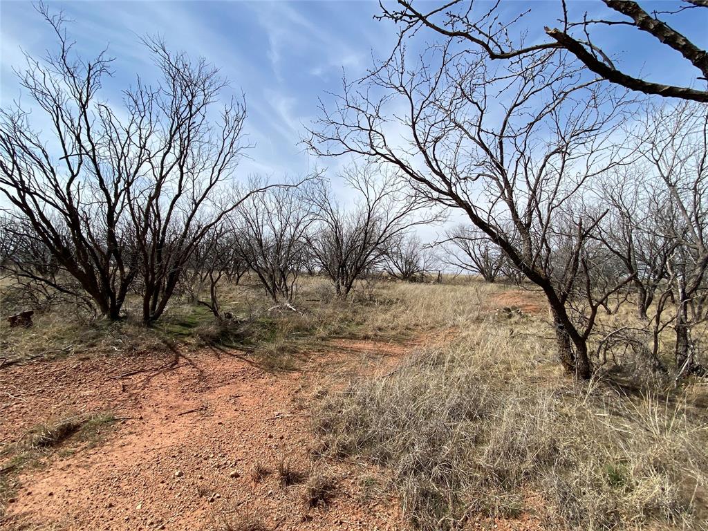 21.38 Acres Hwy 380 E