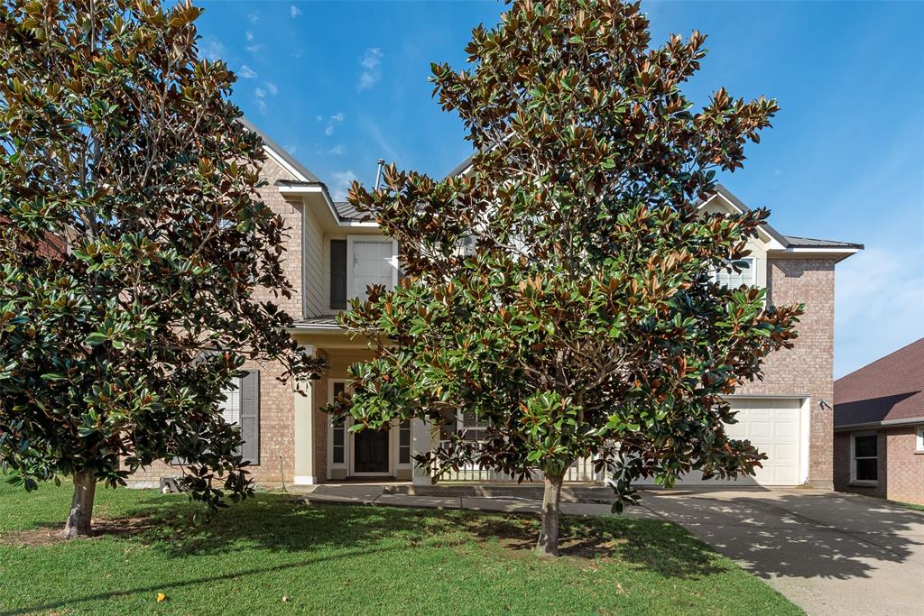 7916 Nighthawk Trail