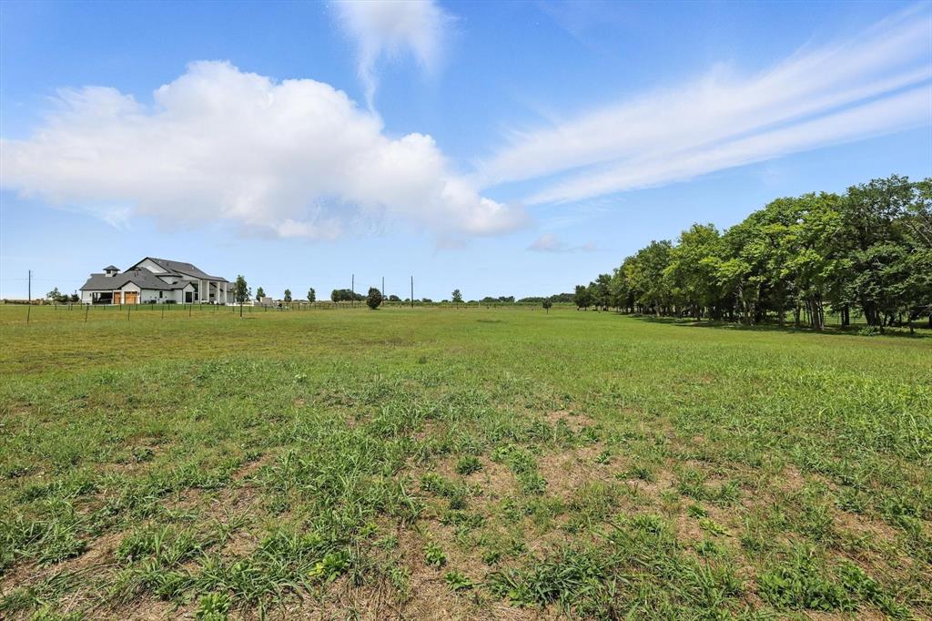 Ramon Rubio Surv Abs #997 - Land