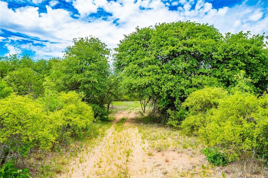 GORGEOUS 300-acre pasture land, complete with fences and cross fences for secure livestock management. This stunning property features an abundance of oak trees that provide pleasant shade and enhance its natural beauty. With a water meter already in place and electricity readily accessible, this land offers convenience and utility. Additionally, the set of cattle pens and trap add practicality and ease to cattle operations. The rolling topography adds a touch of uniqueness to the landscape, making this property suitable for various uses. Don't miss this opportunity to own a piece of land that combines functionality, aesthetic appeal, and natural charm.