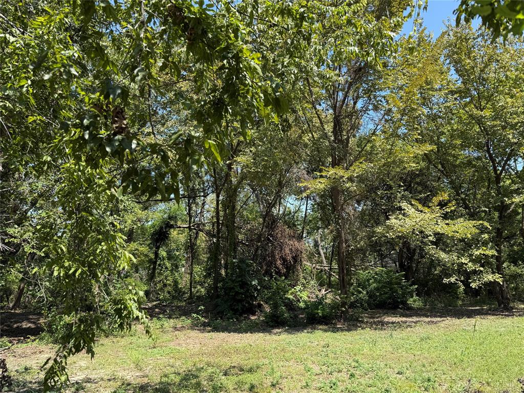 Mckinney Outlots - Land