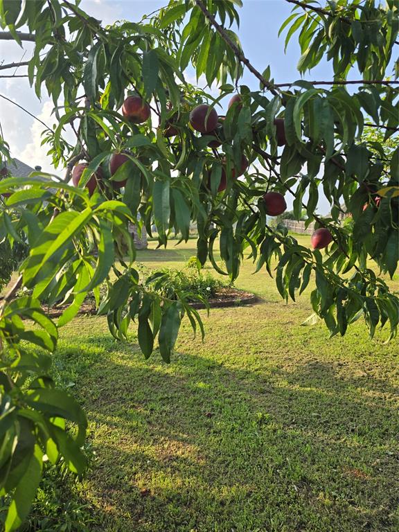 Saddle Hills Estate Ph 01 - Residential