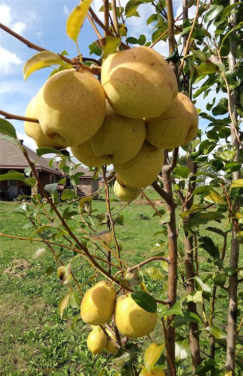 Saddle Hills Estate Ph 01 - Residential