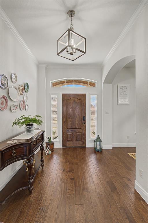 3141 Marble Falls Lane