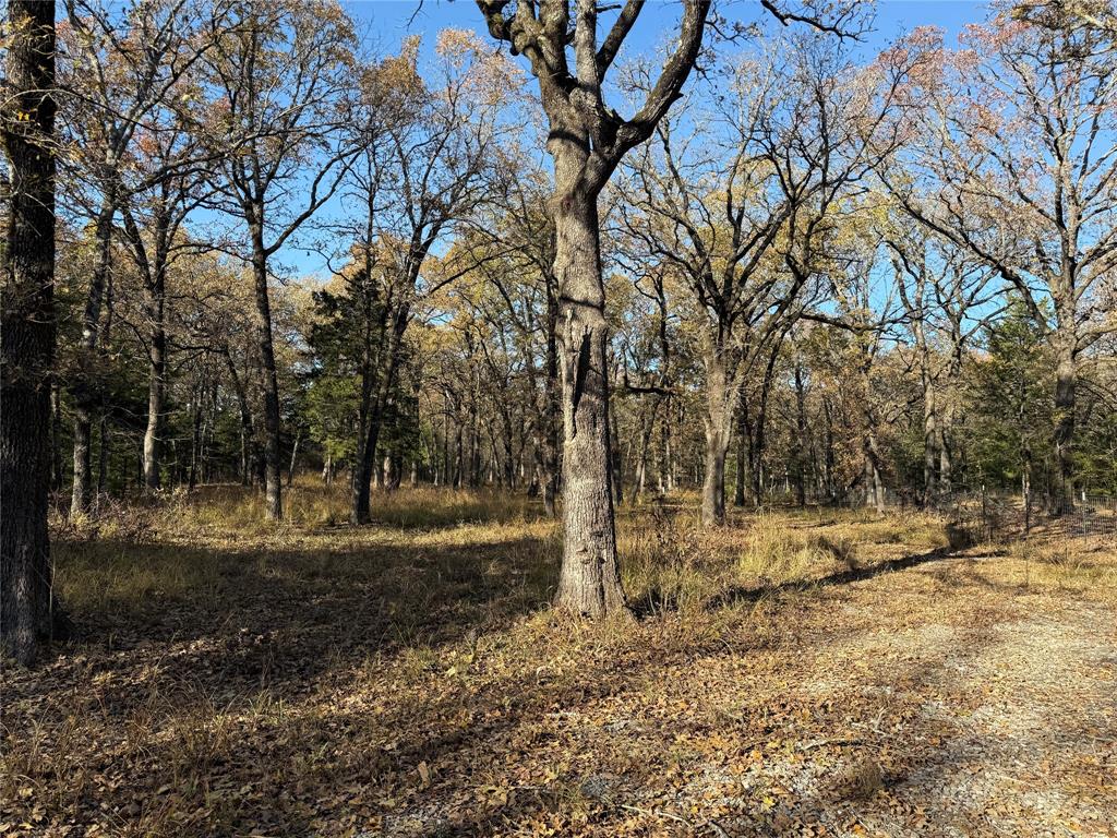 0000 County Road 2418
