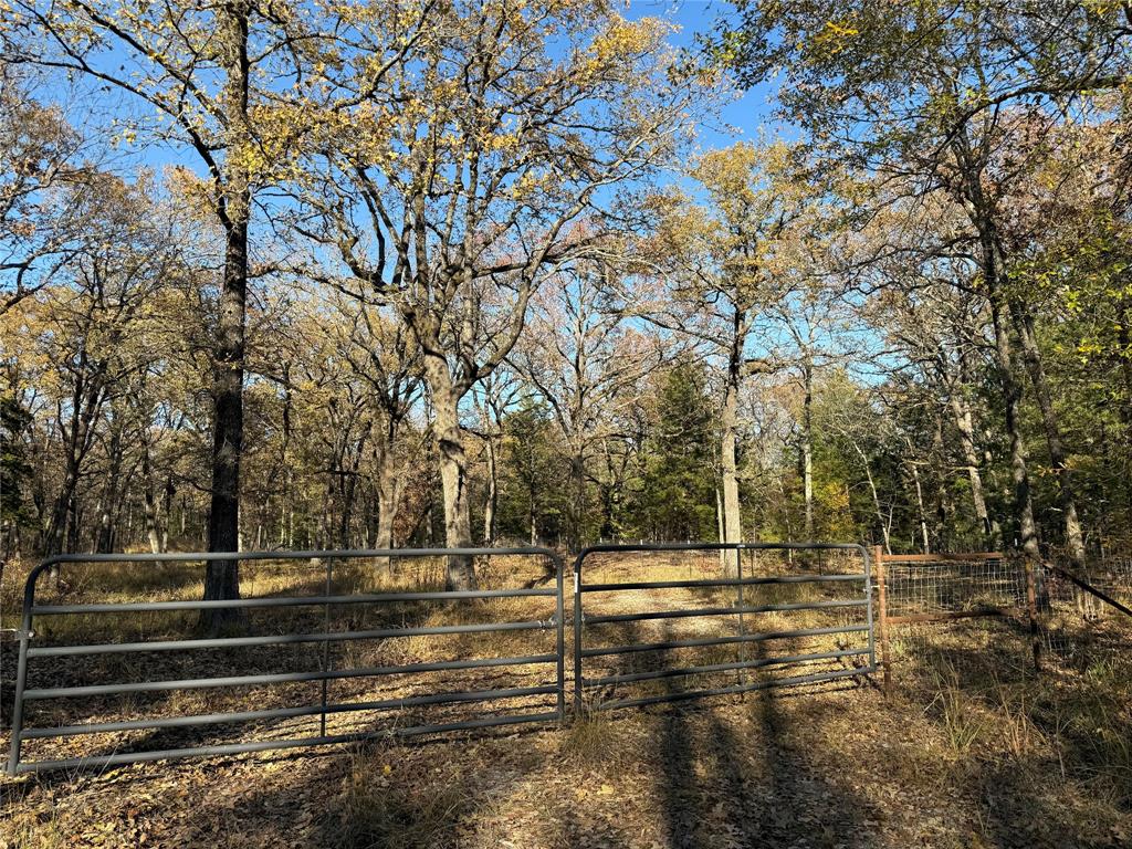0000 County Road 2418