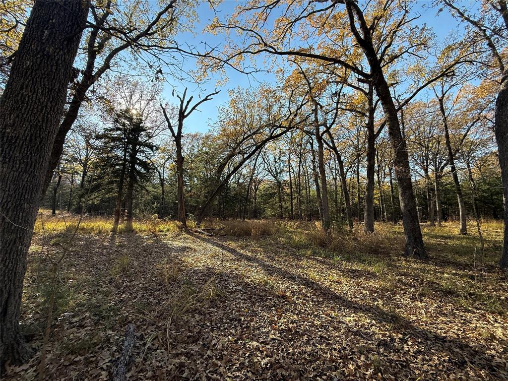 0000 County Road 2418