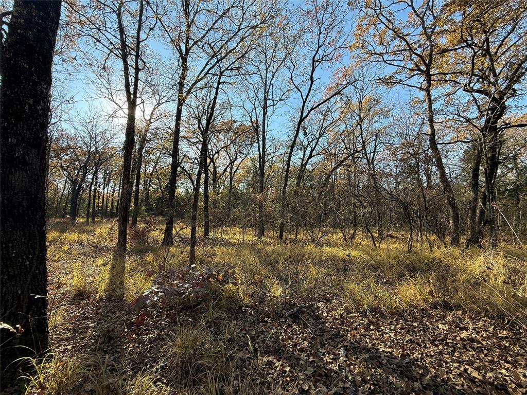 0000 County Road 2418