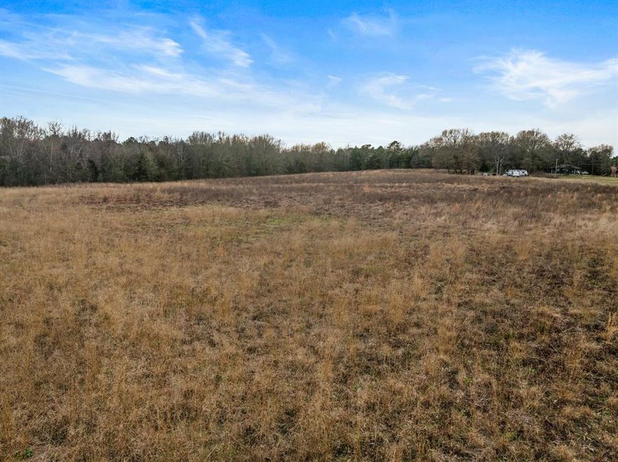 Discover the perfect blend of space, privacy, and convenience with this exceptional 51 acre tract located just outside the city limits of Pittsburg, Texas. Offering the freedom of country living with easy access to town, this property presents an outstanding opportunity for ranching, recreation, investment, or future development. The land features expansive open acreage with a classic East Texas landscape, ideal for grazing, building a custom home, or creating a private retreat. With no city restrictions, you’ll enjoy flexibility in land use while still being minutes from local schools, shopping, dining, and medical services. Whether you envision a working ranch, weekend getaway, or long-term hold in a growing area, this property delivers space, versatility, and location, an increasingly rare combination.