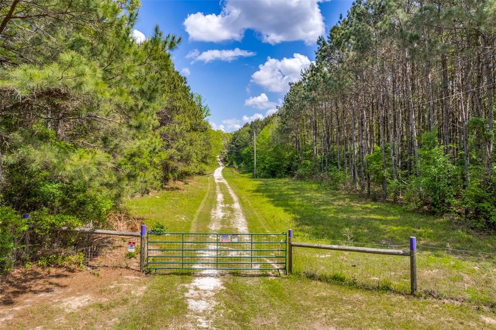 Photo of 980 County Road 2619, Marietta, TX 75566 (MLS # 21250645)