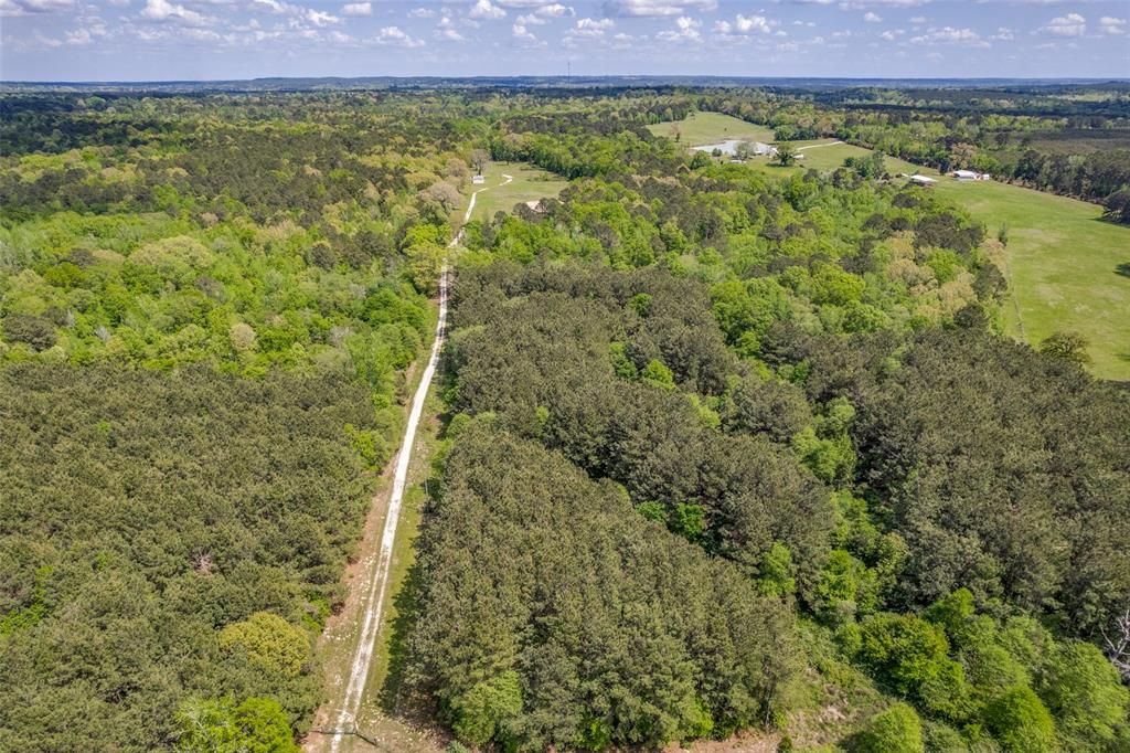 Photo of 980 County Road 2619, Marietta, TX 75566 (MLS # 21250645)