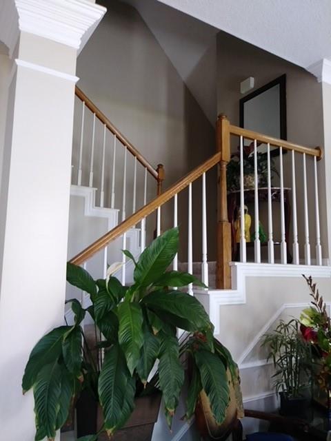 1128 Sawsawi Trail