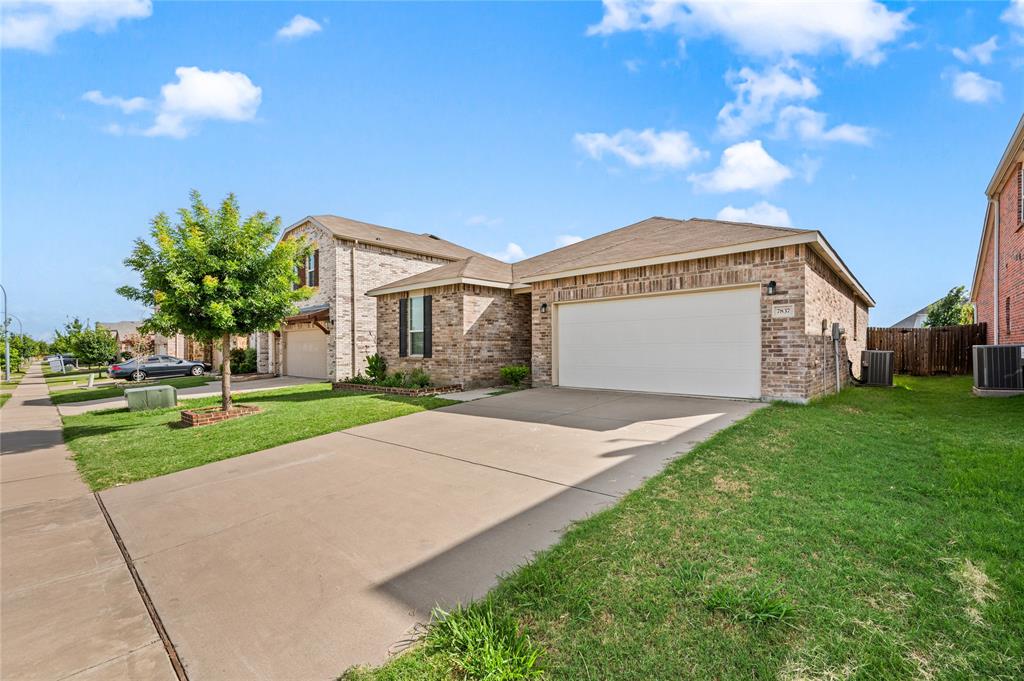7837 TUDANCA Trail