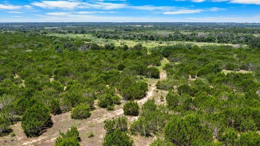 10723 County Road 539