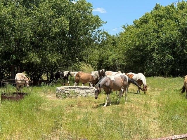 10723 County Road 539