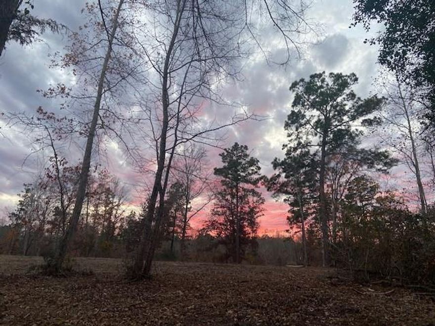 Adjacent property listing MLS 21086126 is also for sale. In time for deer season: Country living and hunter's paradise within a few miles of Richland Chambers Lake, Lake Palestine and the small town of Palestine, gives you the perfect place to not only enjoy the outdoors, but gives you the quiet peacefulness of a place to camp. This unique offering  provides the extraordinary privacy of multiple acres combined with the potential for a custom-built, single-family home. The property features an estimated 10+ acres of potential buildable land-a rare find for a private residence. It has access to power at the paved country road running adjacent to the property. Key characteristics include tree cover, which varies from dense or sparse, and a mix of tree species, from deciduous or evergreen. Contains rolling topography as well as level terrain in some areas. Several areas have been cleared while others remain wooded. A small, clear spring  creek runs along the back of the property. This property is the perfect location for the active outdoorsman or nature enthusiast. Land has old growth hardwood and just the place you envision those trophy Whitetails hiding out as well as hogs. Don't miss this opportunity to see and experience this rare find. Buyer will be responsible for septic, well and electricity installation after closing.