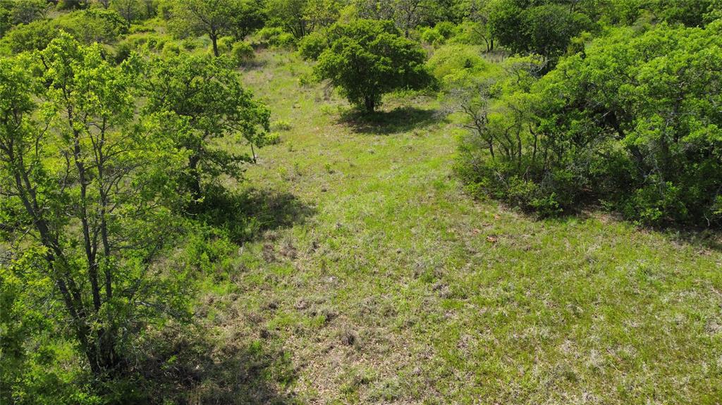 Hidden Shores - Land