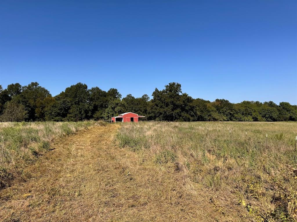 City Of Paris - Commercial Sale