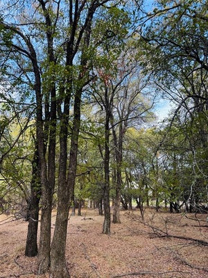 7103 CEDAR VALLEY DR, WHITNEY, TX 76692 - Image d3f66e5ddb8309d8960ab14ea7ebfdb6/69616464