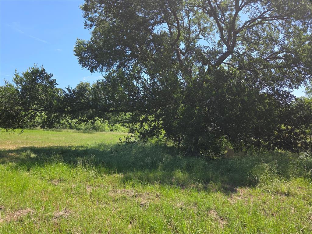 Admiral Shores - Land