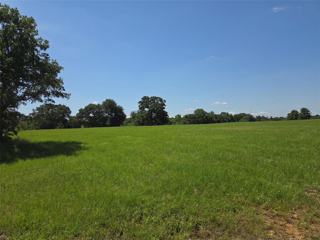 Admiral Shores - Land