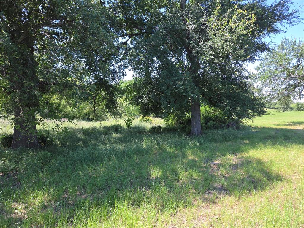 Admiral Shores - Land