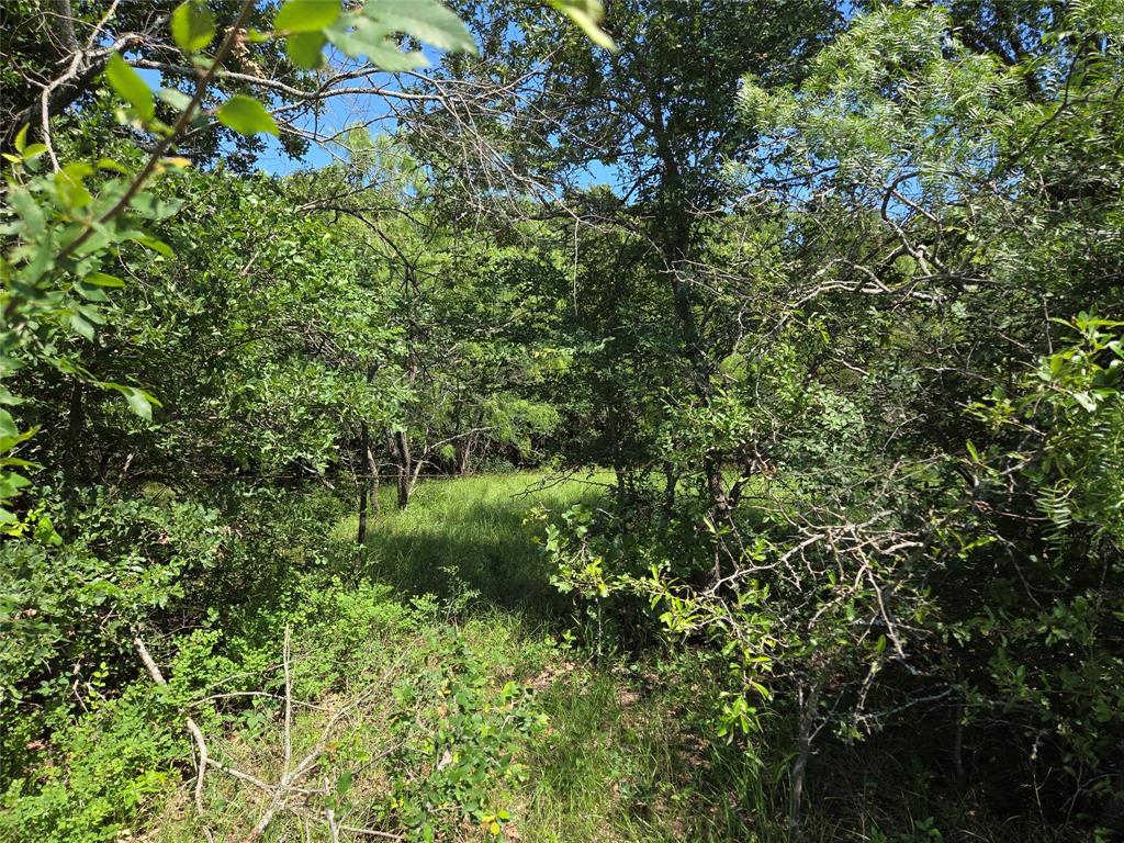 Admiral Shores - Land