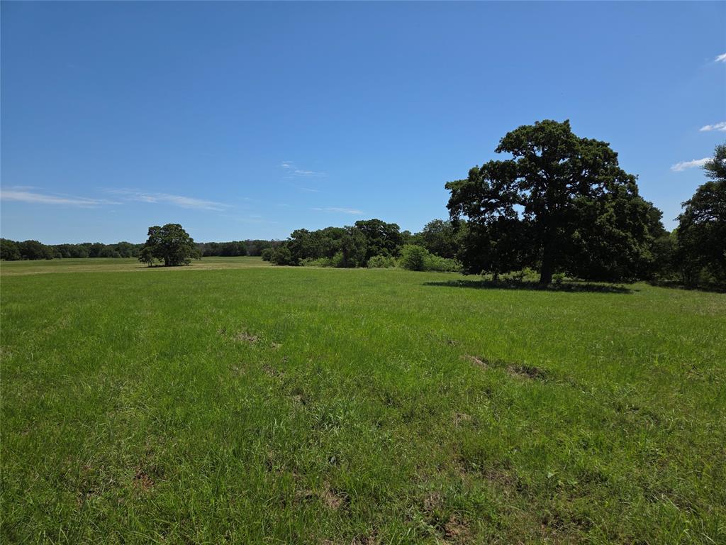 Admiral Shores - Land