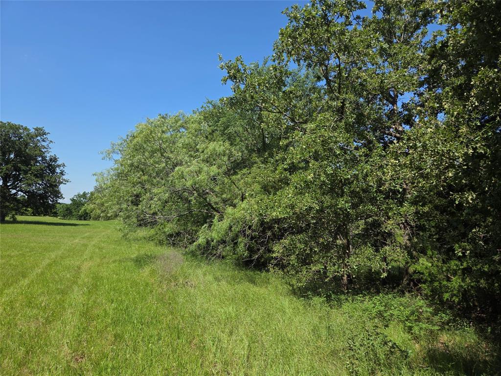 Admiral Shores - Land