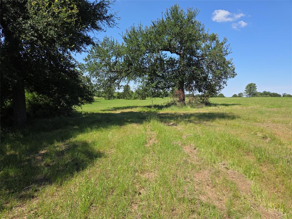 Admiral Shores - Land