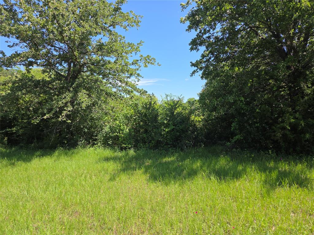 Admiral Shores - Land