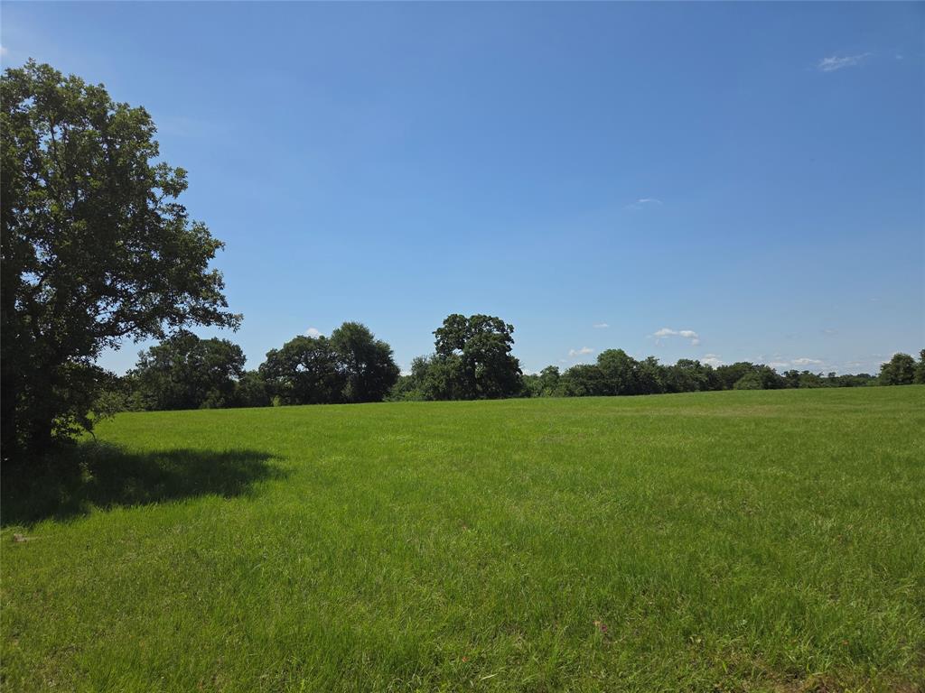 Admiral Shores - Land