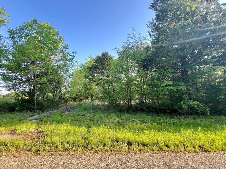 Approximately 2.6 acres in Harts Bluff ISD!! Perfect size for your new home! Come see it now!