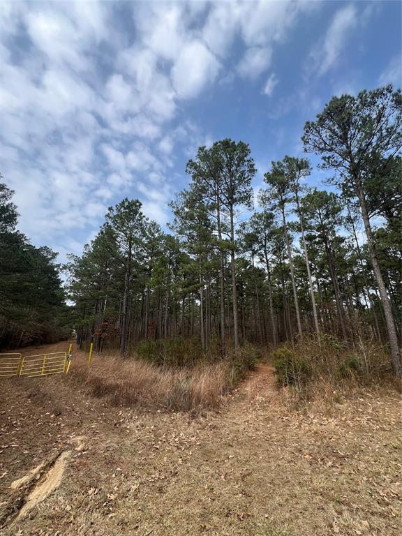 00 Vander Almond Road Road