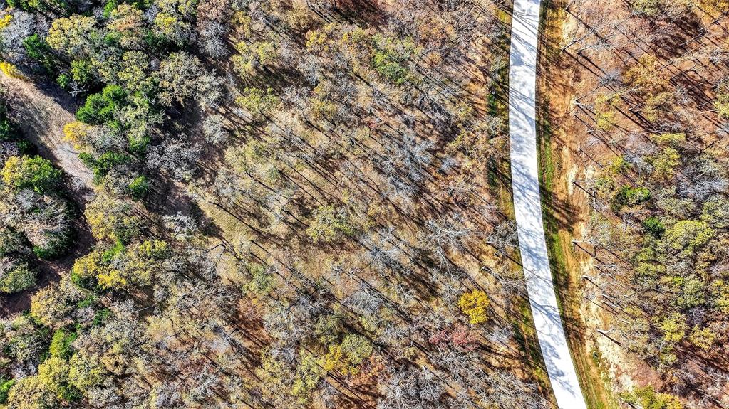 Spout Springs - Land