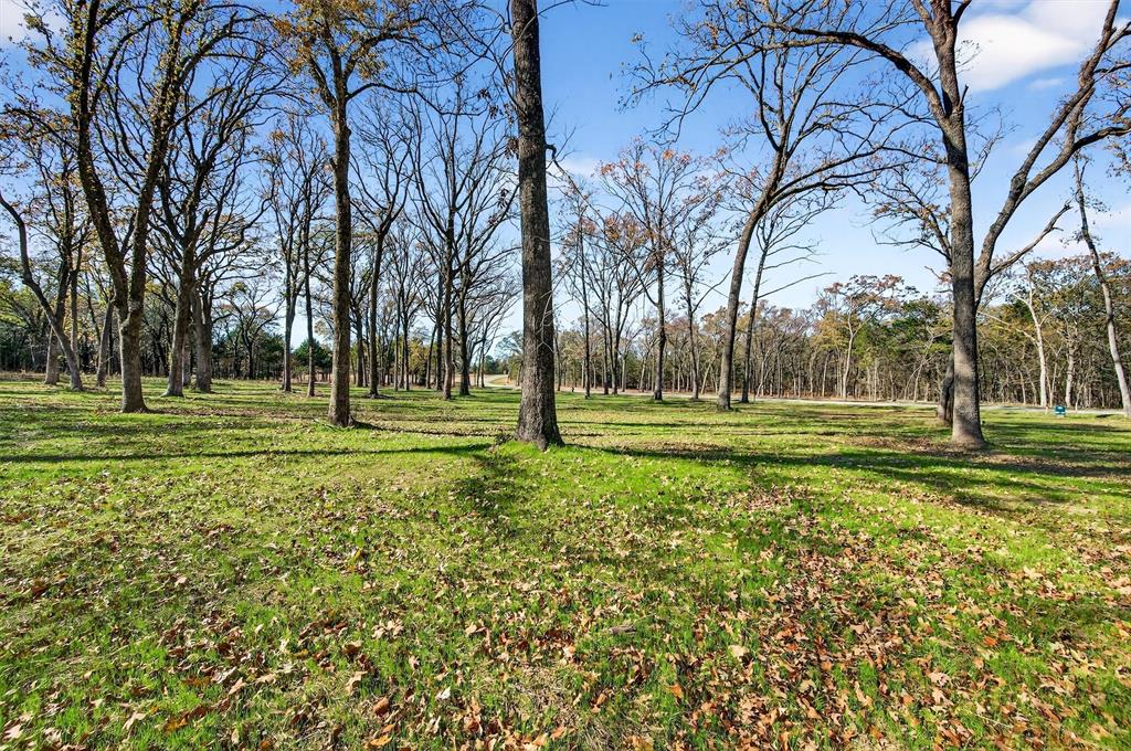 Spout Springs - Land