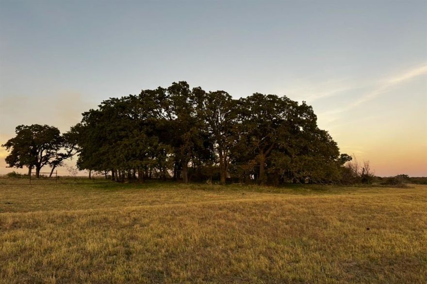 Nearly 32 acres of wide-open Texas land where the possibilities feel just as big as the views. Located just outside Whitesboro city limits, this unrestricted property gives you the freedom to build, create, and live exactly how you’ve been imagining.

Picture your future home set against a backdrop of rolling countryside—morning coffee overlooking the pond as the sun comes up, and evenings spent on the porch watching the sky stretch for miles. With multiple ideal building sites, you can choose to be tucked near the water or perched higher on the hill to take in sweeping northern views.

With NO deed restrictions, the options are wide open. Build a custom home, a barndominium, or create your own small ranch with room for horses, cattle, and more. The property is Ag Exempt, offering valuable tax benefits, and provides the peace and privacy of country living without sacrificing quick access to Whitesboro.

Whether you’re ready to build now or planning for the future, this is the kind of land that turns ideas into a lifestyle.