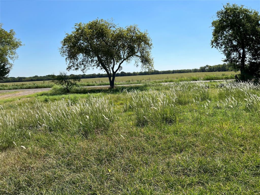 Photo of 4418 County Road 2596, Royse City, TX 75189 (MLS # 21301088)