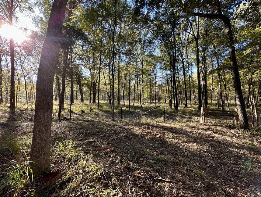 Hopes Landing - Land