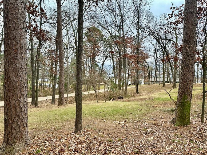 Are you ready to build your lake home in Hope’s Landing at Lake Bob Sandlin?! This welcoming, deed-restricted community is designed for easy, relaxed lake living and is ready to welcome you. Located on a quiet cul-de-sac, this wooded property offers a peaceful setting with mature trees that provide natural beauty and privacy, along with seasonal peek-a-boo views of the lake through the trees across the road. The lot(s) are ready for your custom vision—whether you’re planning a weekend escape or a full-time lake retreat. Homeowners enjoy access to a private community boat ramp, and trailer storage, making time on the water simple and convenient. With two additional boat launches just minutes away, boating and fishing are always within easy reach. If you'd like extra space, MLS #21148280 offers the opportunity to purchase the adjacent lot and create a spacious 1.15-acre homesite to bring your lake home plans to life. Hopes Landing community is perfectly situated mid-lake and conveniently located to Mt. Vernon, 
Mt. pleasant, and Pittsburg.
