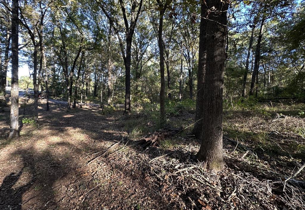 Hopes Landing - Land