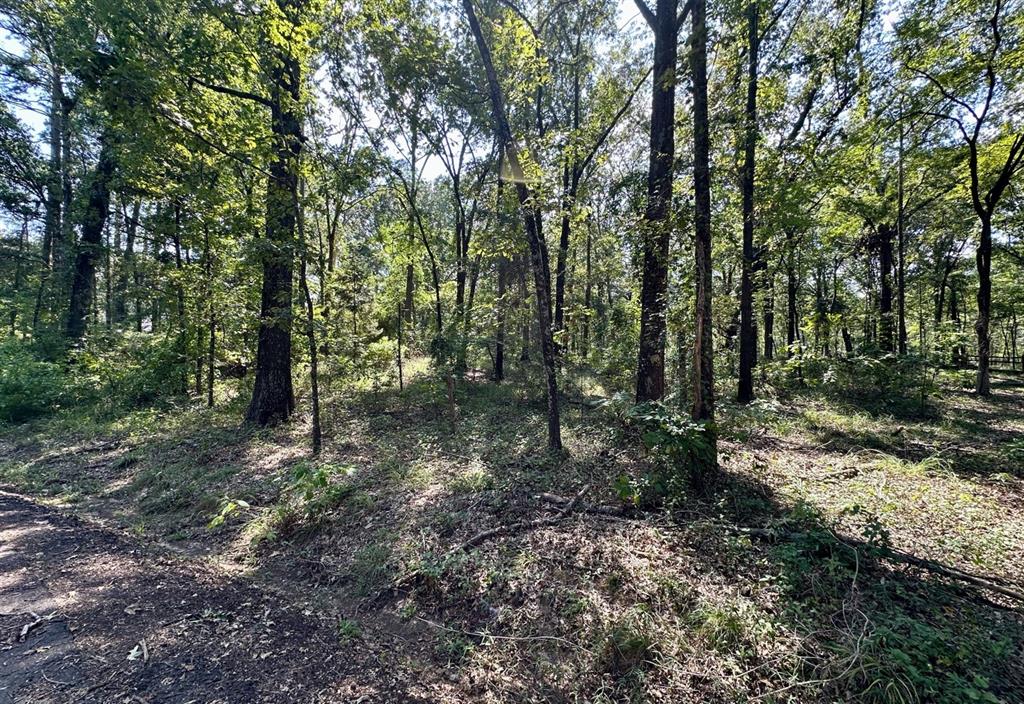 Hopes Landing - Land