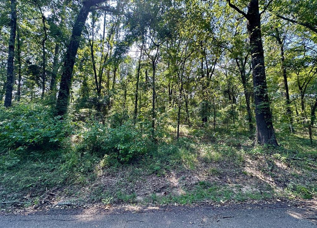 Hopes Landing - Land